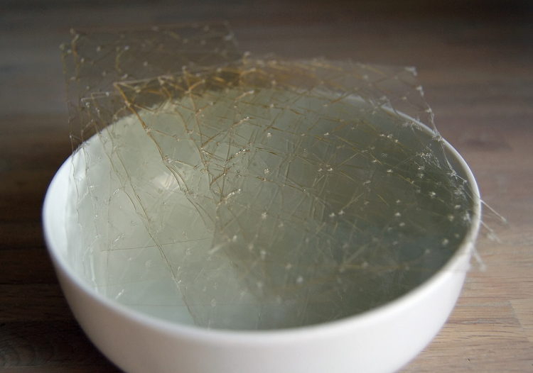 Gelatin là gì?