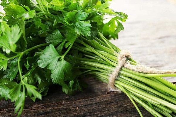 Parsley là gì? Những điều cơ bản về Parsley mà nhân viên bếp cần biết