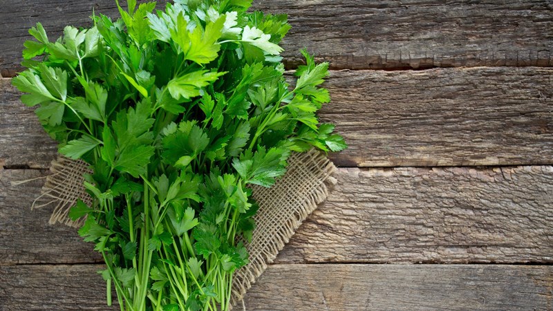 Parsley l&agrave; g&igrave;?