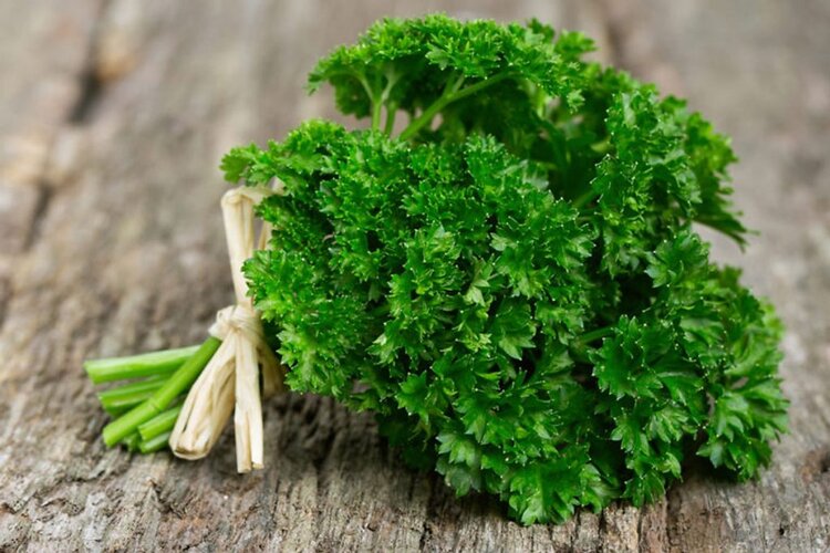 Parsley mua ở đâu? Giá bao nhiêu?