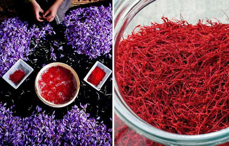 T&aacute;c dụng của saffron l&agrave; g&igrave;?&nbsp;