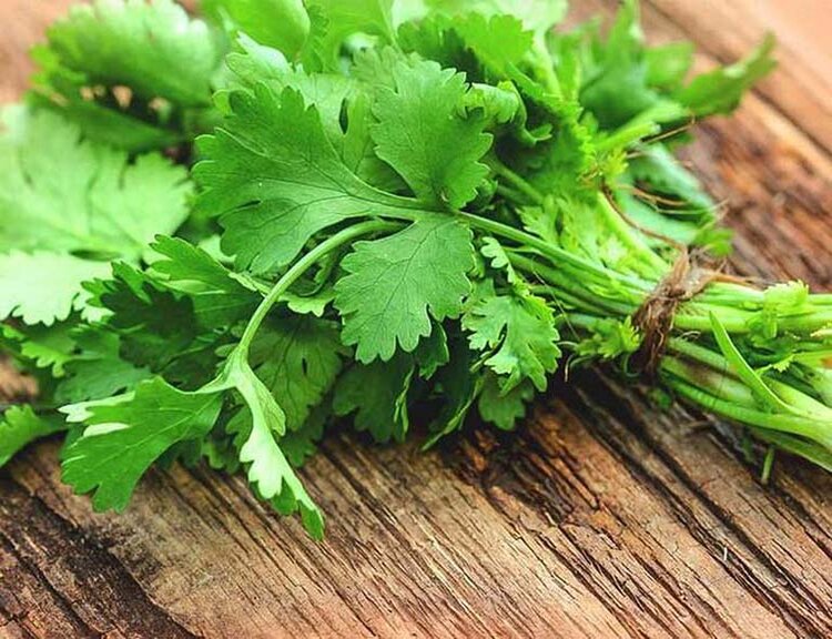 Phân biệt lá Parsley với rau ngò của Việt Nam