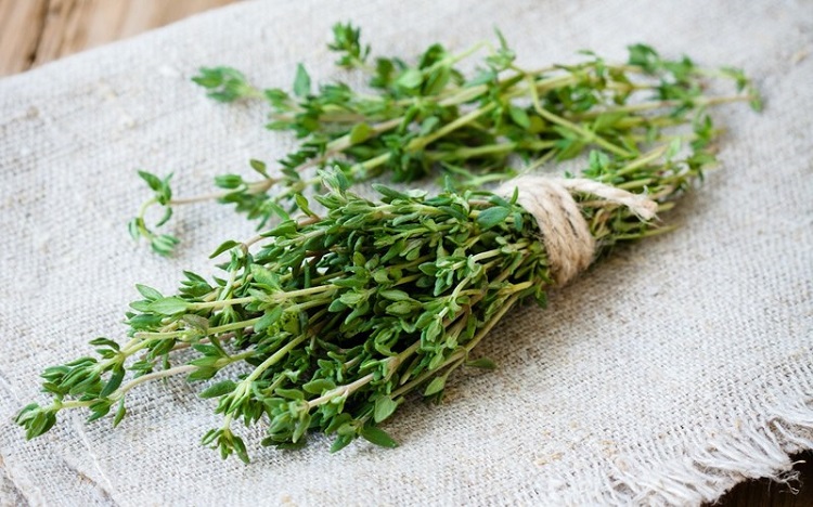 Lá thyme là gì? Những công dụng tuyệt vời của cỏ xạ hương trong ẩm thực và y tế.