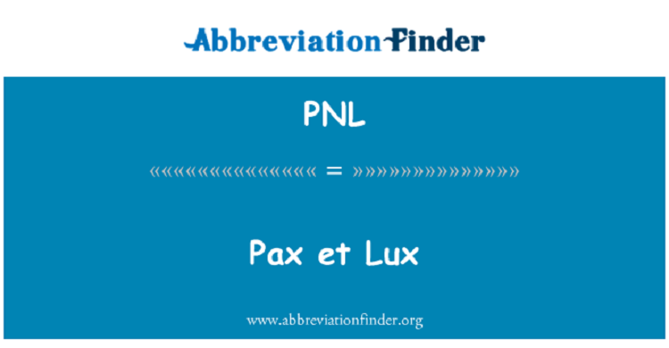 Trong kinh doanh &yacute; nghĩa của PNL l&agrave; g&igrave;?