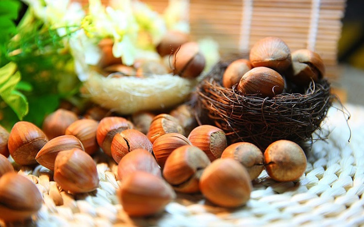 Hazelnut la gi