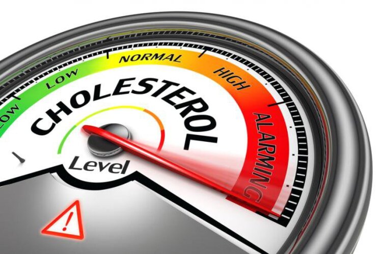 L&agrave;m giảm được lượng cholesterol 