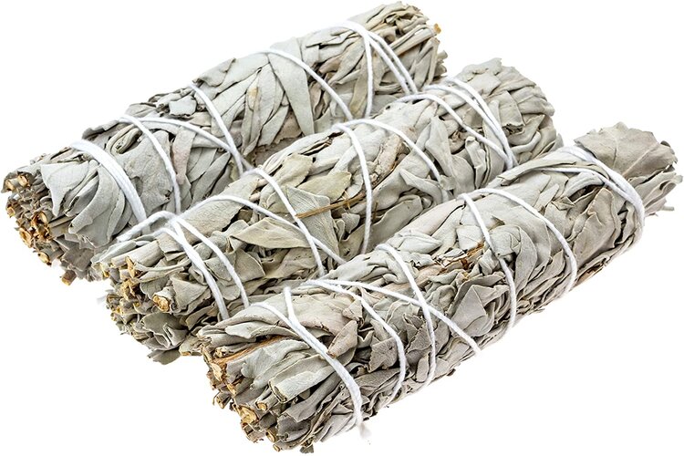 C&acirc;y x&ocirc; thơm Sage l&agrave; c&acirc;y g&igrave;