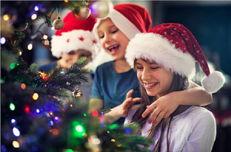 Ai c&oacute; thể trang tr&iacute; mẫu c&acirc;y th&ocirc;ng Noel?