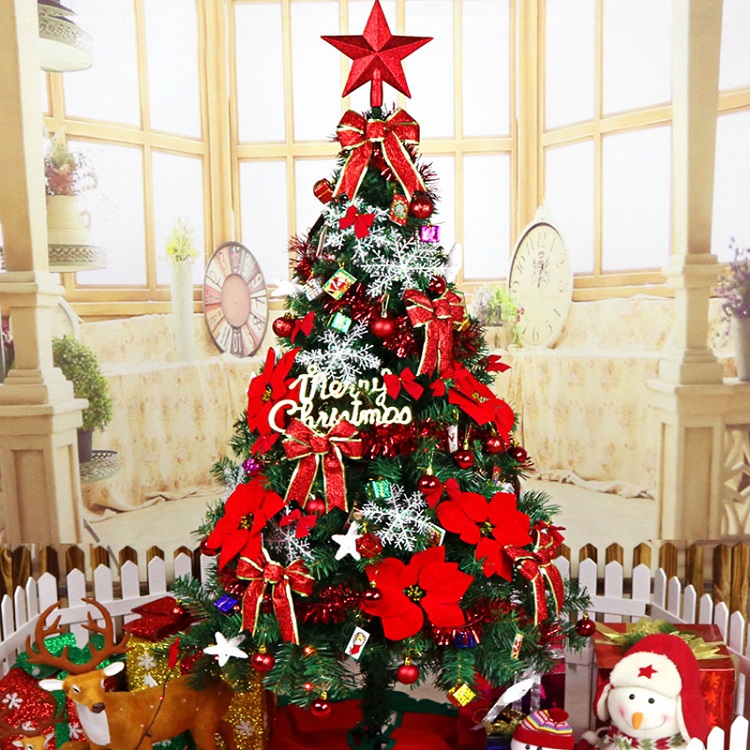 C&acirc;y th&ocirc;ng Noel mang &yacute; nghĩa g&igrave;?