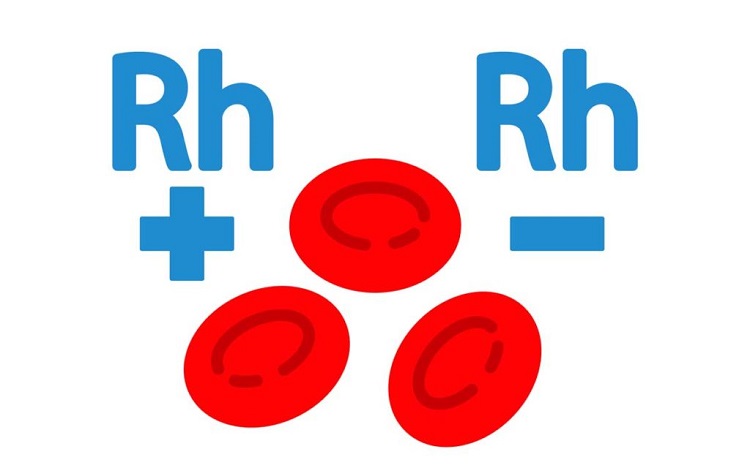 Hệ nh&oacute;m m&aacute;u Rh &ndash; kh&aacute;ng nguy&ecirc;n D (Rh D)