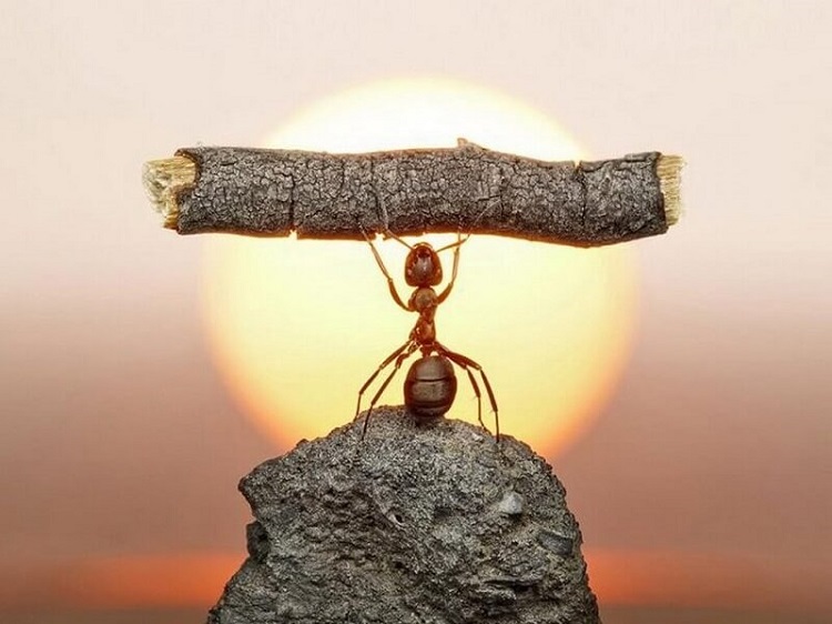 Kiên trì là gì? Vì sao kiên trì là chìa khóa dẫn đến thành công