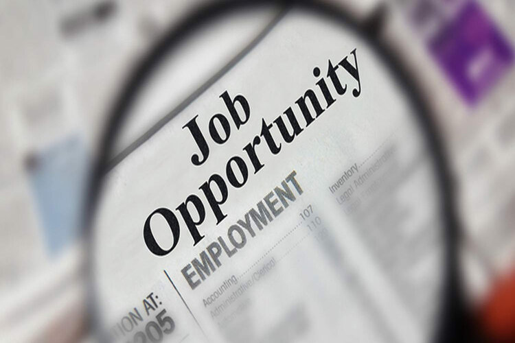 Cơ hội việc làm của Marketing Assistant tại Việt Nam hiện nay