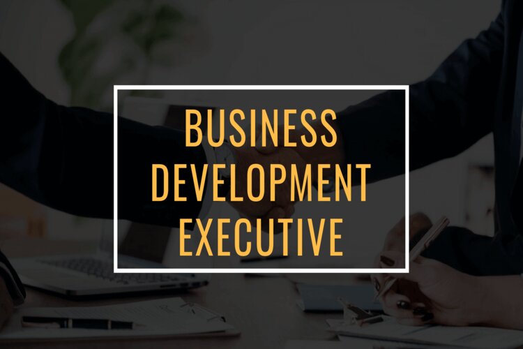 Business Development Executive l&agrave; g&igrave;?