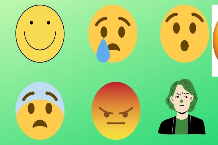 Cảm x&uacute;c l&agrave; g&igrave;?