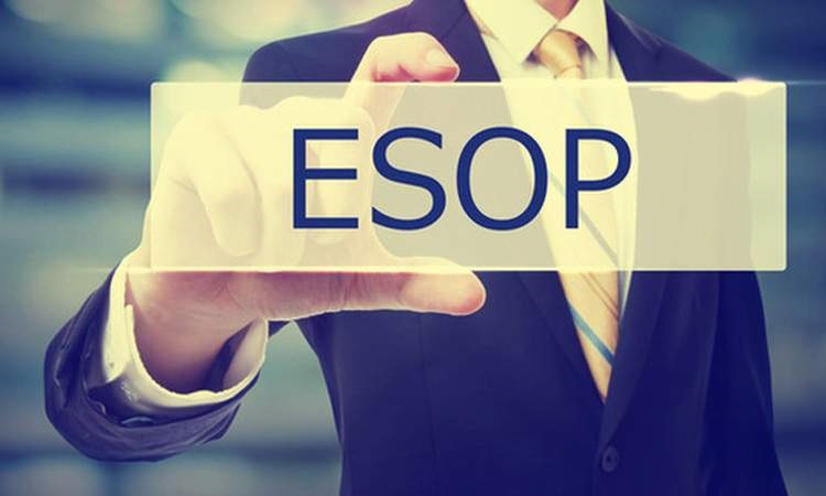 Những quy định trong ph&aacute;t h&agrave;nh cổ phiếu ESOP l&agrave; g&igrave;?