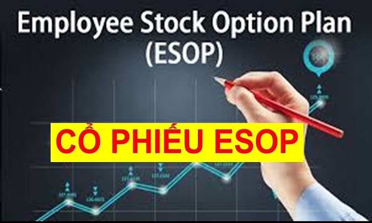 Quy định của ESOP đối với người lao động l&agrave; g&igrave;?