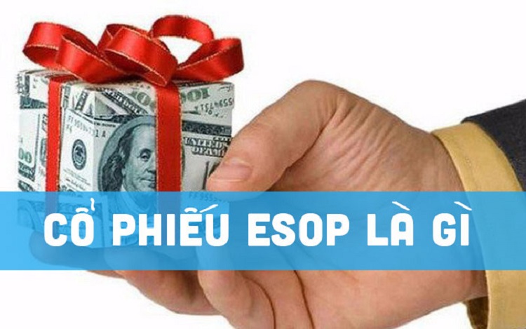 Cổ phiếu ESOP l&agrave; g&igrave;?