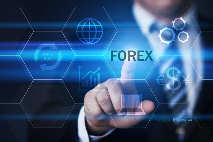 Hiểu biết rõ về sàn giao dịch forex