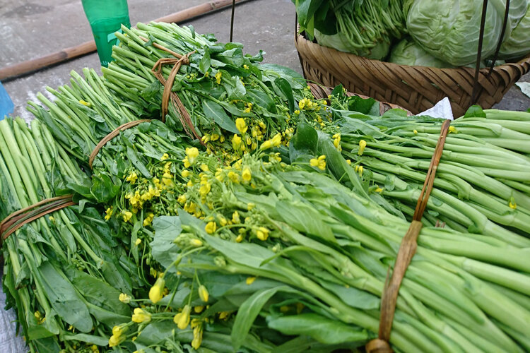 Rau cải ngồng mua ở đ&acirc;u, gi&aacute; bao nhi&ecirc;u?