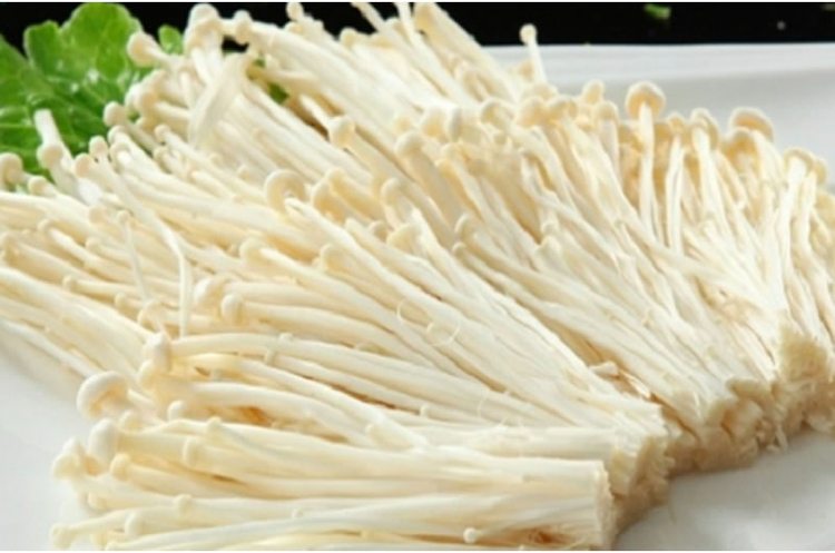 Tác dụng của Nấm kim châm là gì?