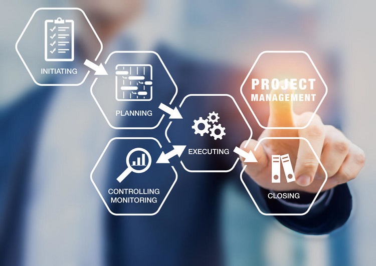 Project Manager