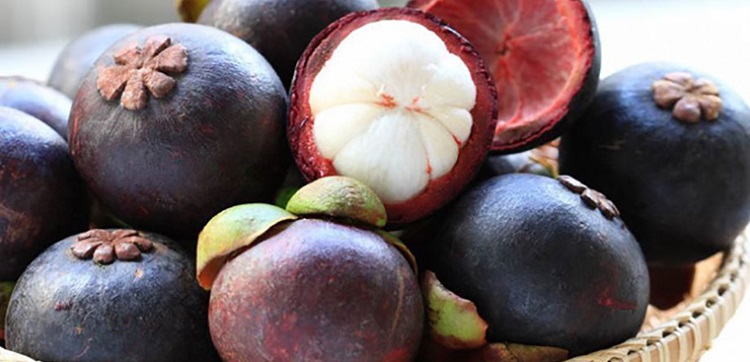 Quả măng cụt là gì? Tác dụng của măng cụt là gì? Ăn nhiều có tốt không?