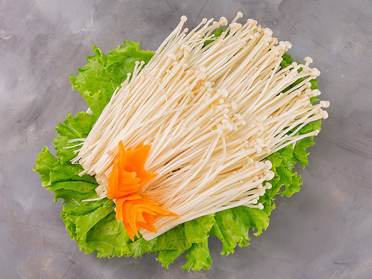 Các tác dụng về chữa bệnh của nấm kim châm