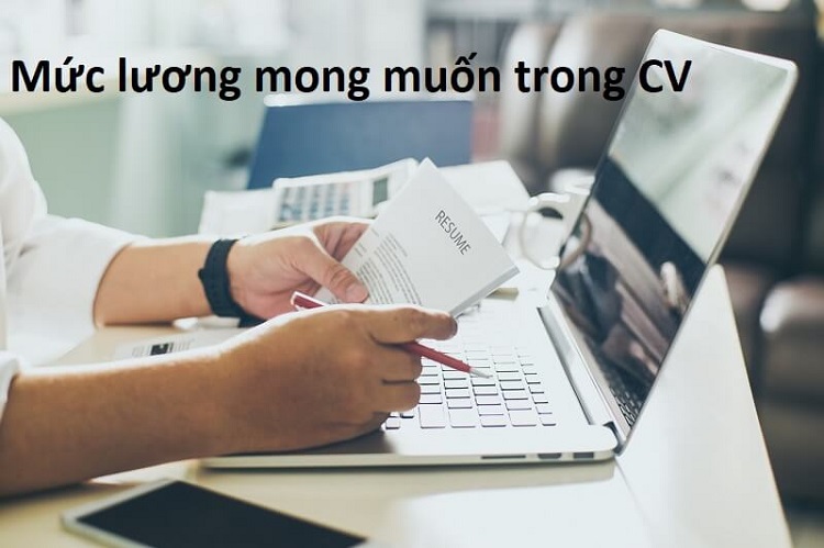 c&oacute; n&ecirc;n ghi mức lương trong cv