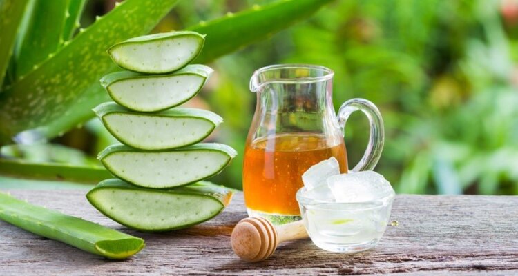 Bật mí 9 tác dụng của nha đam có thể bạn chưa biết