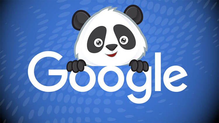 Google Panda Back là gì? 5 cách khôi phục website khi bị Panda phạt