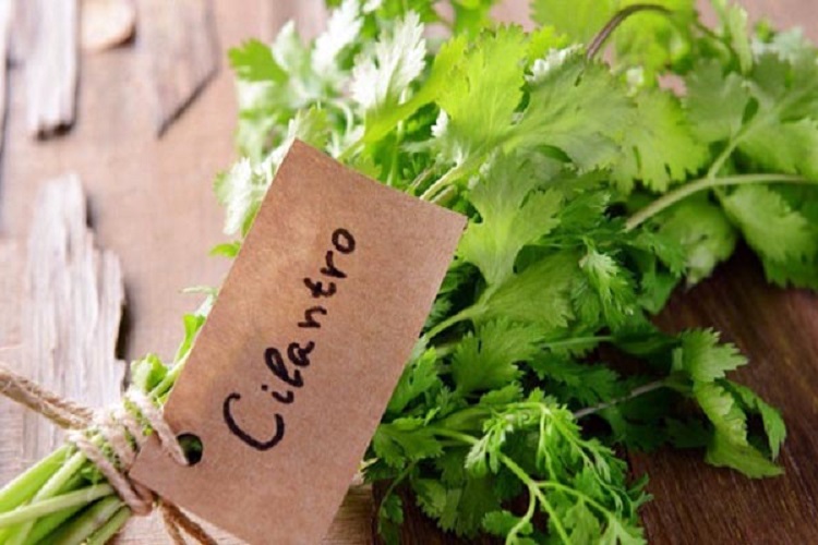 Chống viêm, ngăn ngừa bệnh khớp