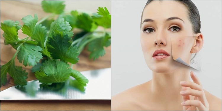 Trong lĩnh vực làm đẹp