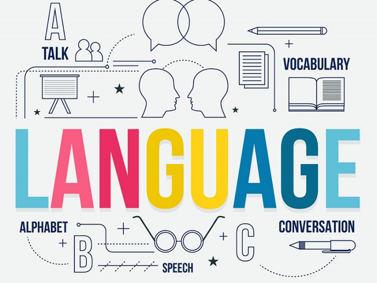 Lịch sử ph&aacute;t triển của ng&agrave;nh ng&ocirc;n ngữ học Việt Nam