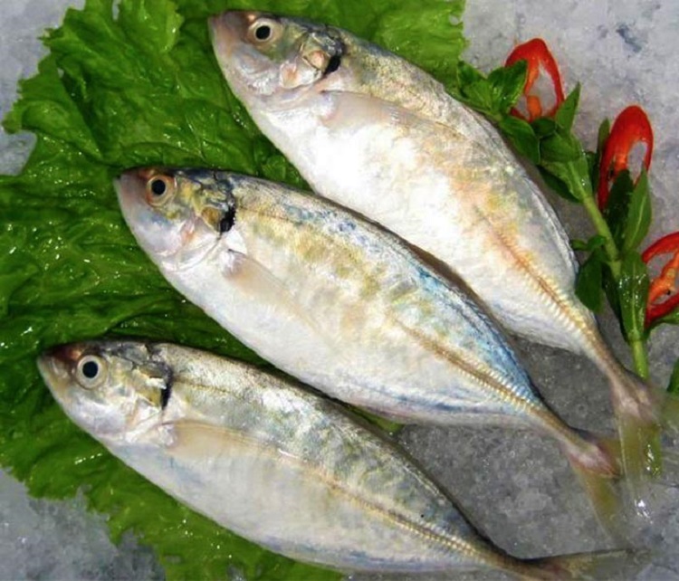 Đặc điểm sinh học