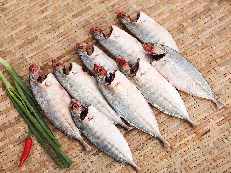 Tập t&iacute;nh sinh sản