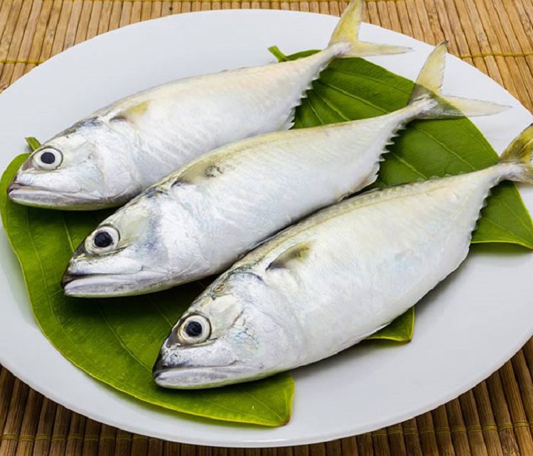 C&aacute;ch chọn c&aacute; bạc m&aacute; ngon