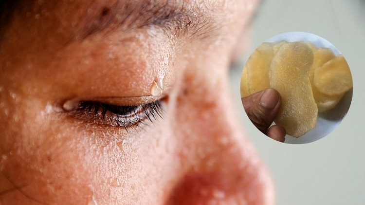 Kh&ocirc;ng ăn qu&aacute; nhiều s&acirc;m đất