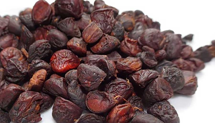 C&aacute;ch sử dụng hạt dổi