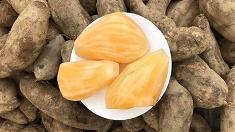 Ngăn ngừa ung thư