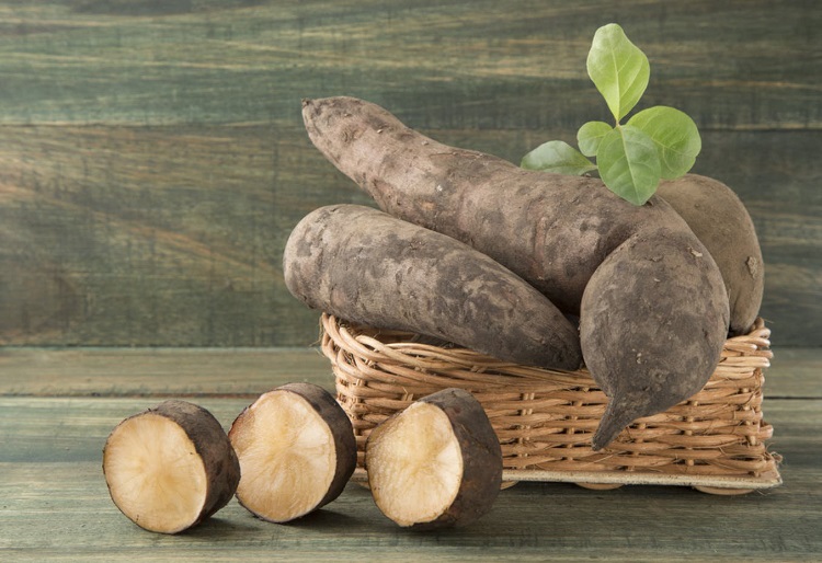 Củ sâm đất là gì? 8 Tác dụng tuyệt vời của sâm đất đối với sức khỏe