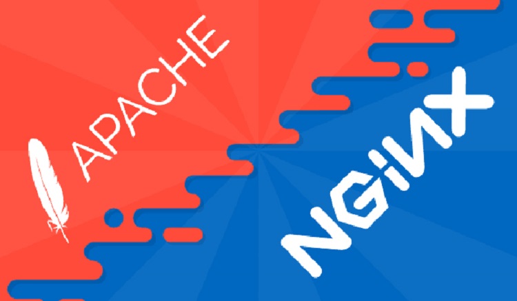 Apache l&agrave; g&igrave;? Web Server l&agrave; g&igrave;? Hướng dẫn c&agrave;i đặt Apache Tomcat chi tiết nhất