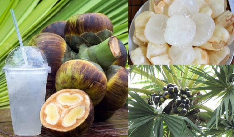 Cải thiện khả năng miễn dịch