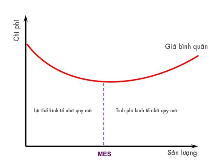 Economy of scale