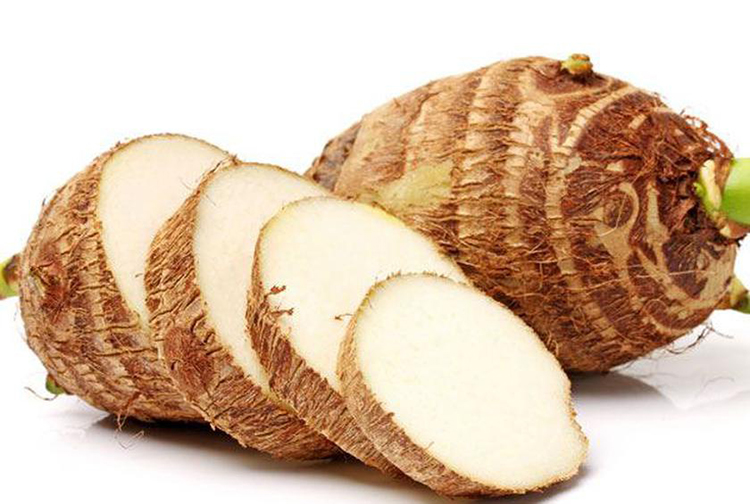 Tổng quan về tác dụng khoai môn