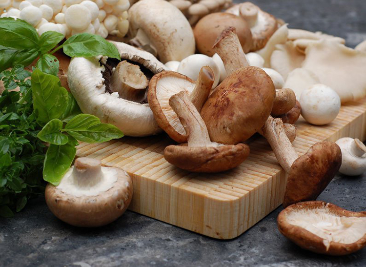 Nguồn gốc v&agrave; t&aacute;c dụng của nấm hương