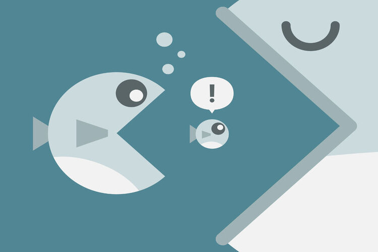 Keyword Cannibalization là gì? Cách phát hiện và xử lý triệt để