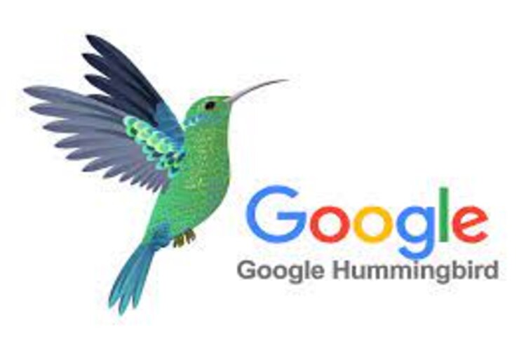 Thuật toán Google Hummingbird là gì? Một số điều cơ bản bạn cần lưu ý