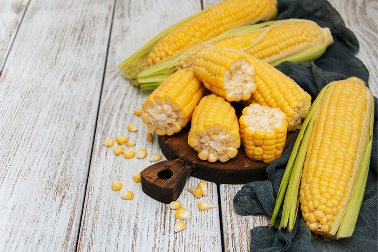 Bắp ngô có công dụng gì? Gợi ý những món ngon từ bắp ngô
