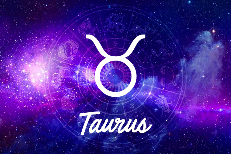taurus l&agrave; cung g&igrave;?