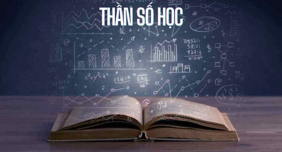 Top 11 cuốn sách Thần Số Học hay nhất bạn không thể bỏ qua